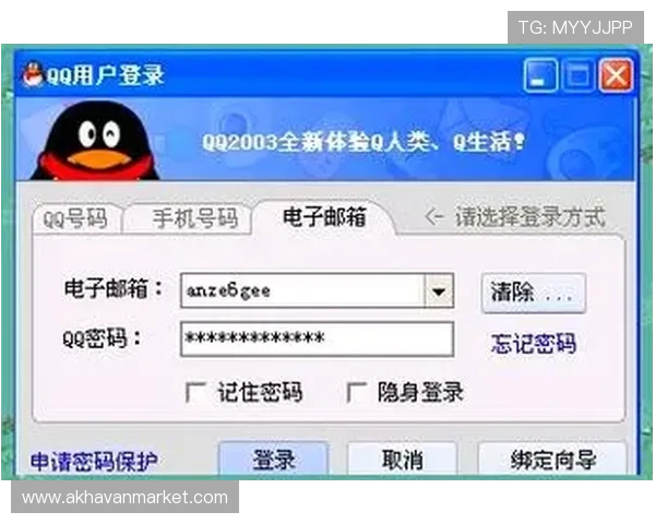 亚星登录入口登录成功后可以进行哪些操作，全面了解账号使用功能