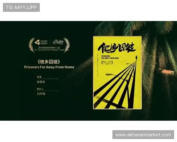 娱乐制片人星星在网络游戏行业中的创新思维与项目管理经验全面解析